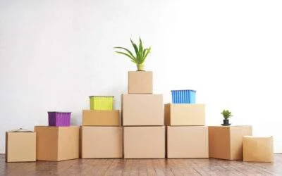 Alexandria VA Move In Cleaning: 8 Cleaning Tips for Landlords