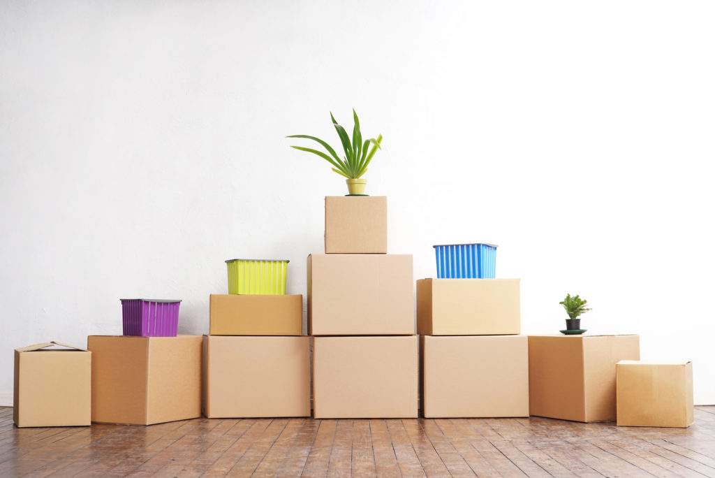 alexandria va move in cleaning