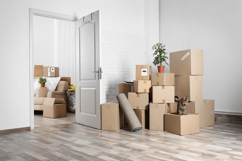 Move In Cleaning: How To Clean Out An Apartment Before Move In