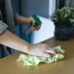 professional cleaners in northern virginia