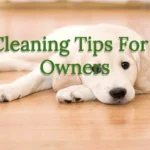 Cleaning Tips For Pet Owners