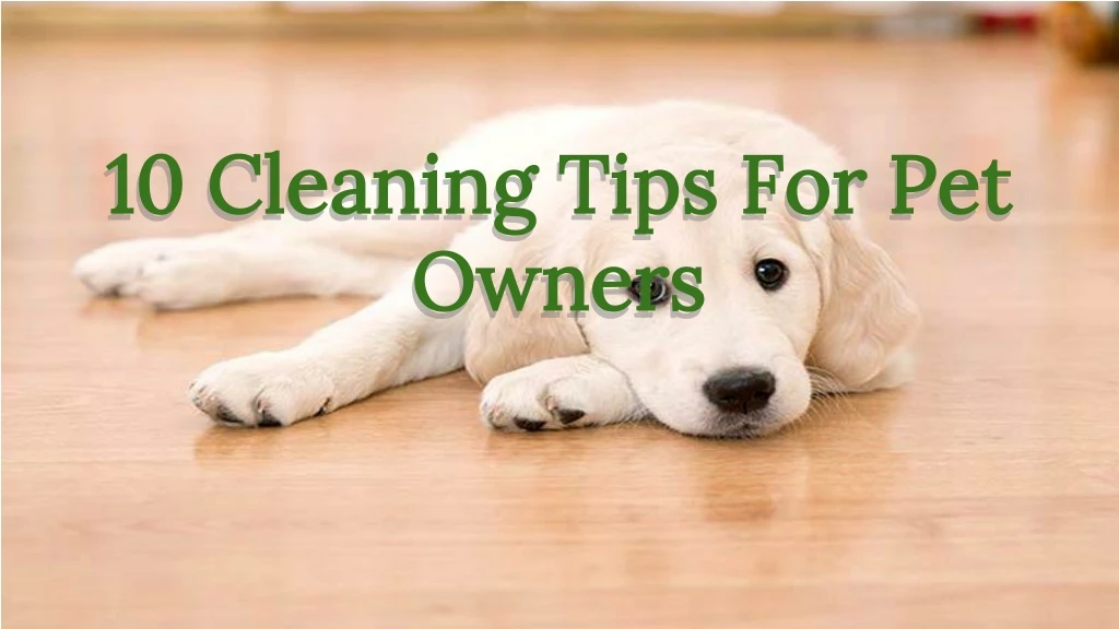 Cleaning Tips For Pet Owners
